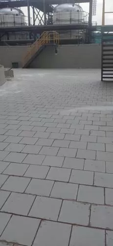 成功案例